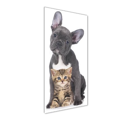 Wall art acrylic Dog and cat