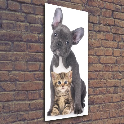 Wall art acrylic Dog and cat