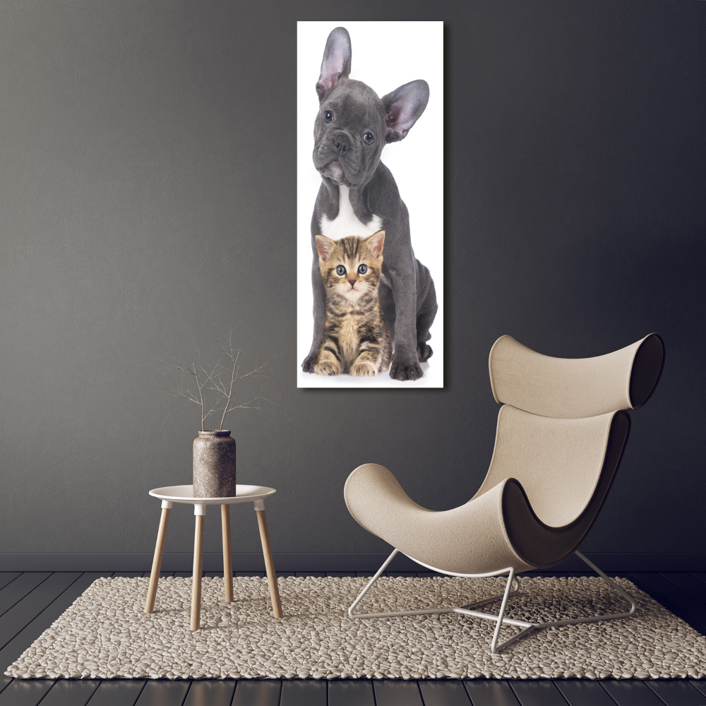 Wall art acrylic Dog and cat