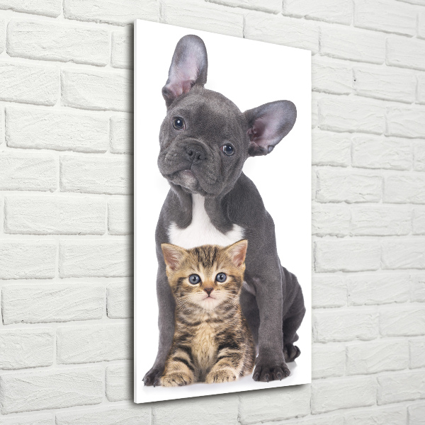 Wall art acrylic Dog and cat