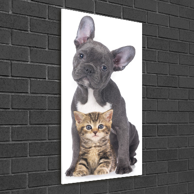 Wall art acrylic Dog and cat