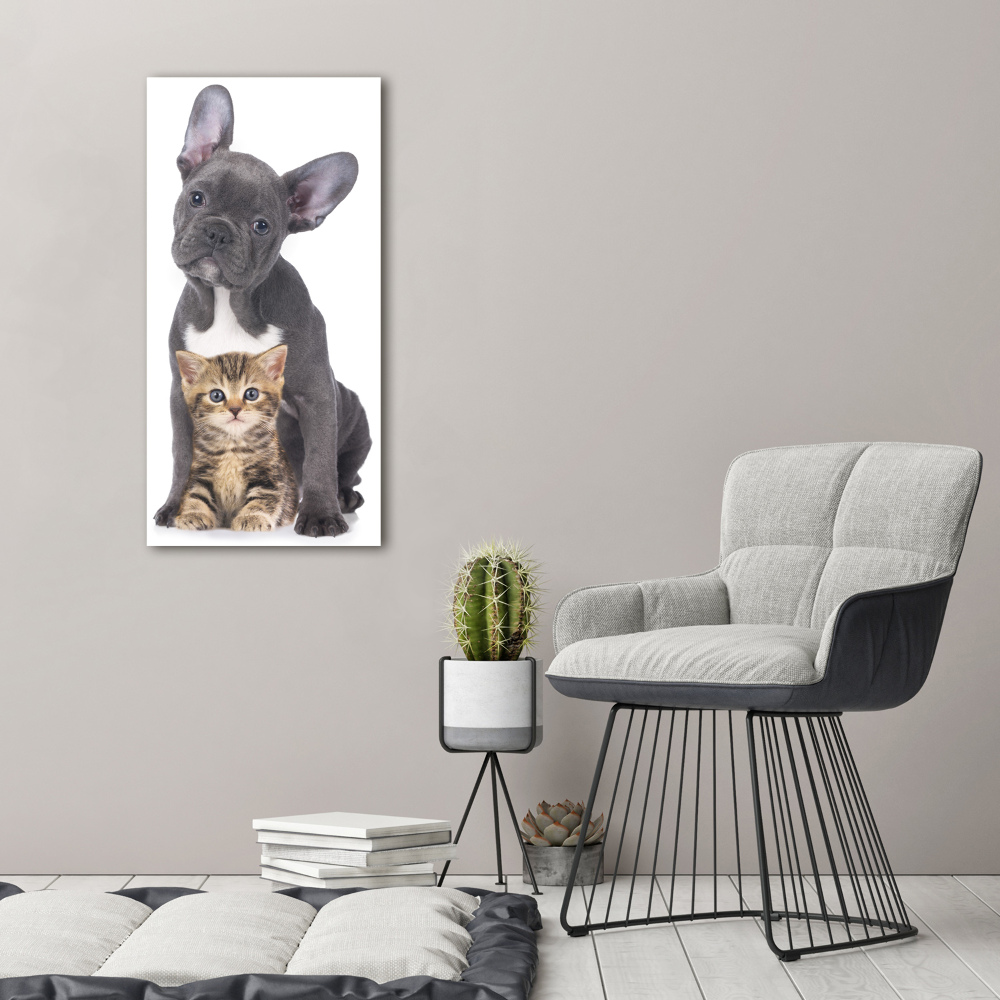 Wall art acrylic Dog and cat