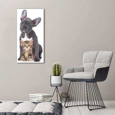 Wall art acrylic Dog and cat