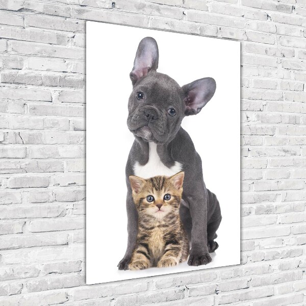 Wall art acrylic Dog and cat