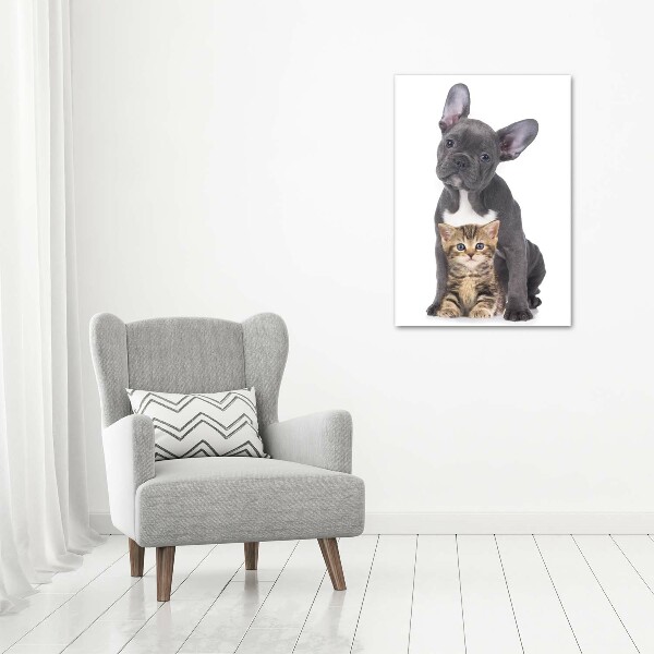 Wall art acrylic Dog and cat