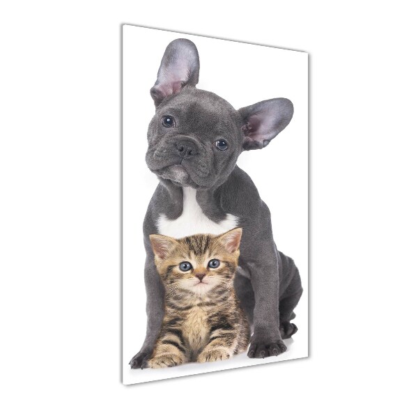 Wall art acrylic Dog and cat