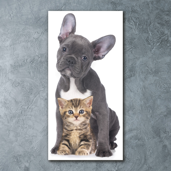 Wall art acrylic Dog and cat