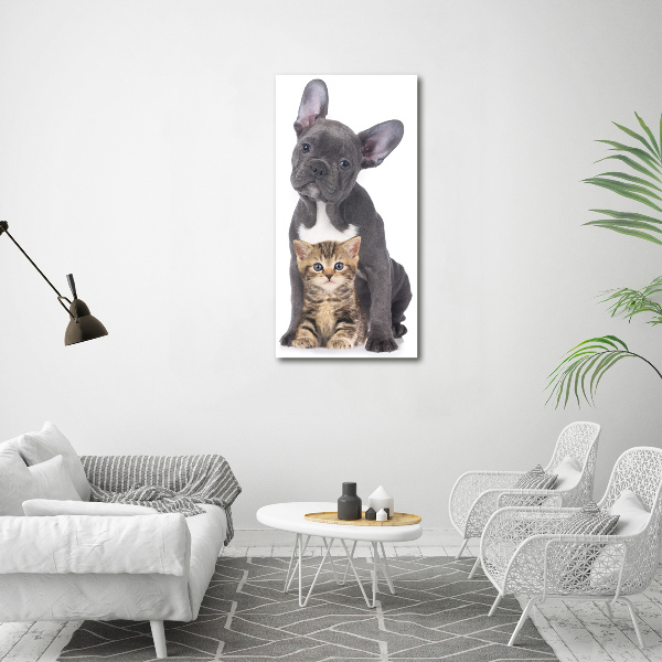 Wall art acrylic Dog and cat