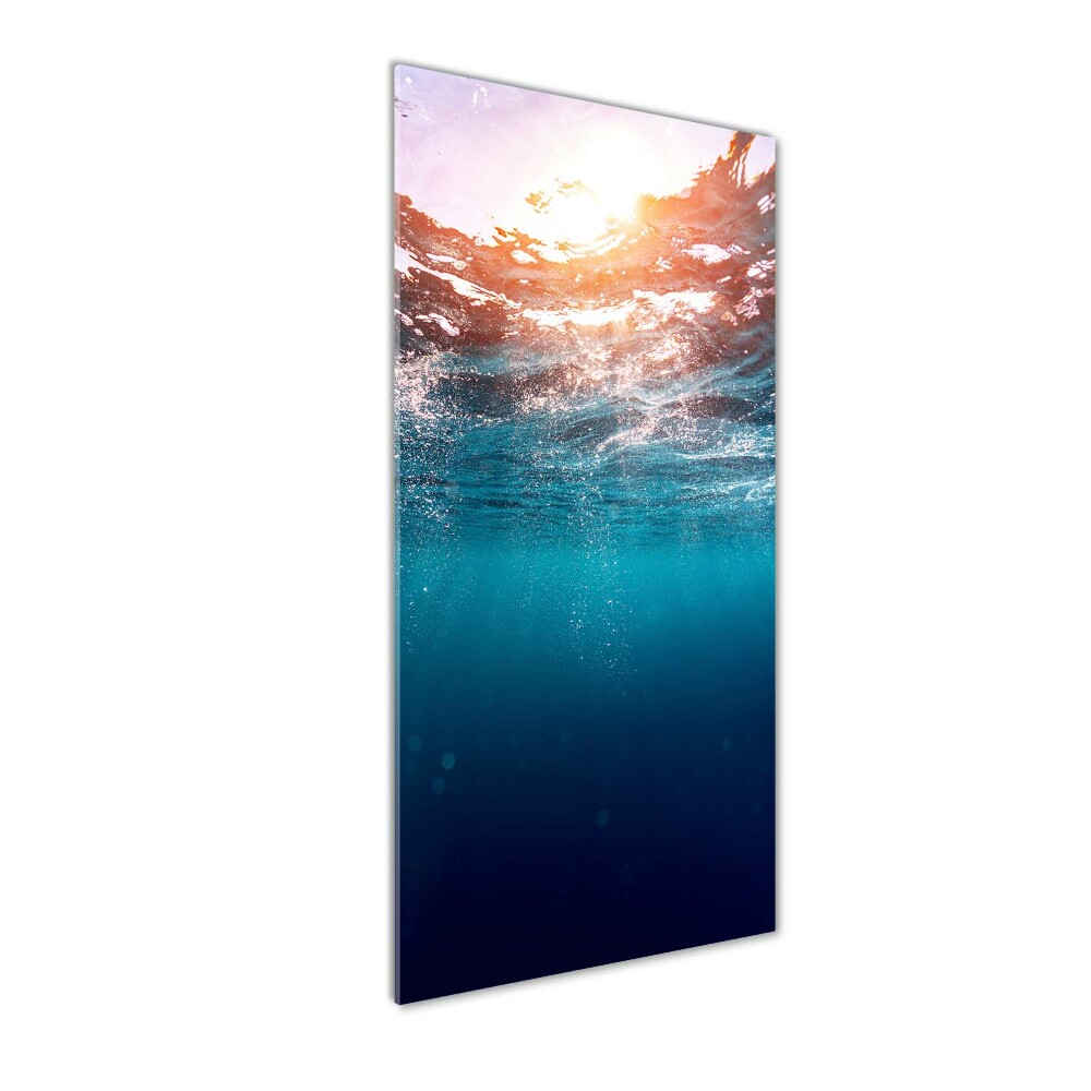 Acrylic print Underwater