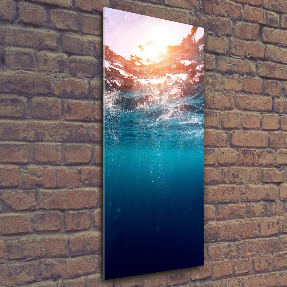 Acrylic print Underwater