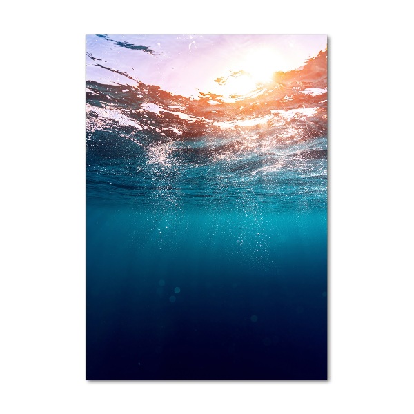 Acrylic print Underwater