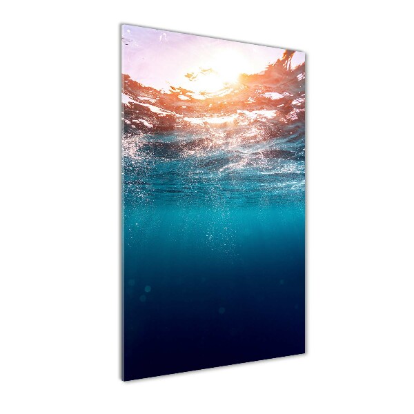 Acrylic print Underwater