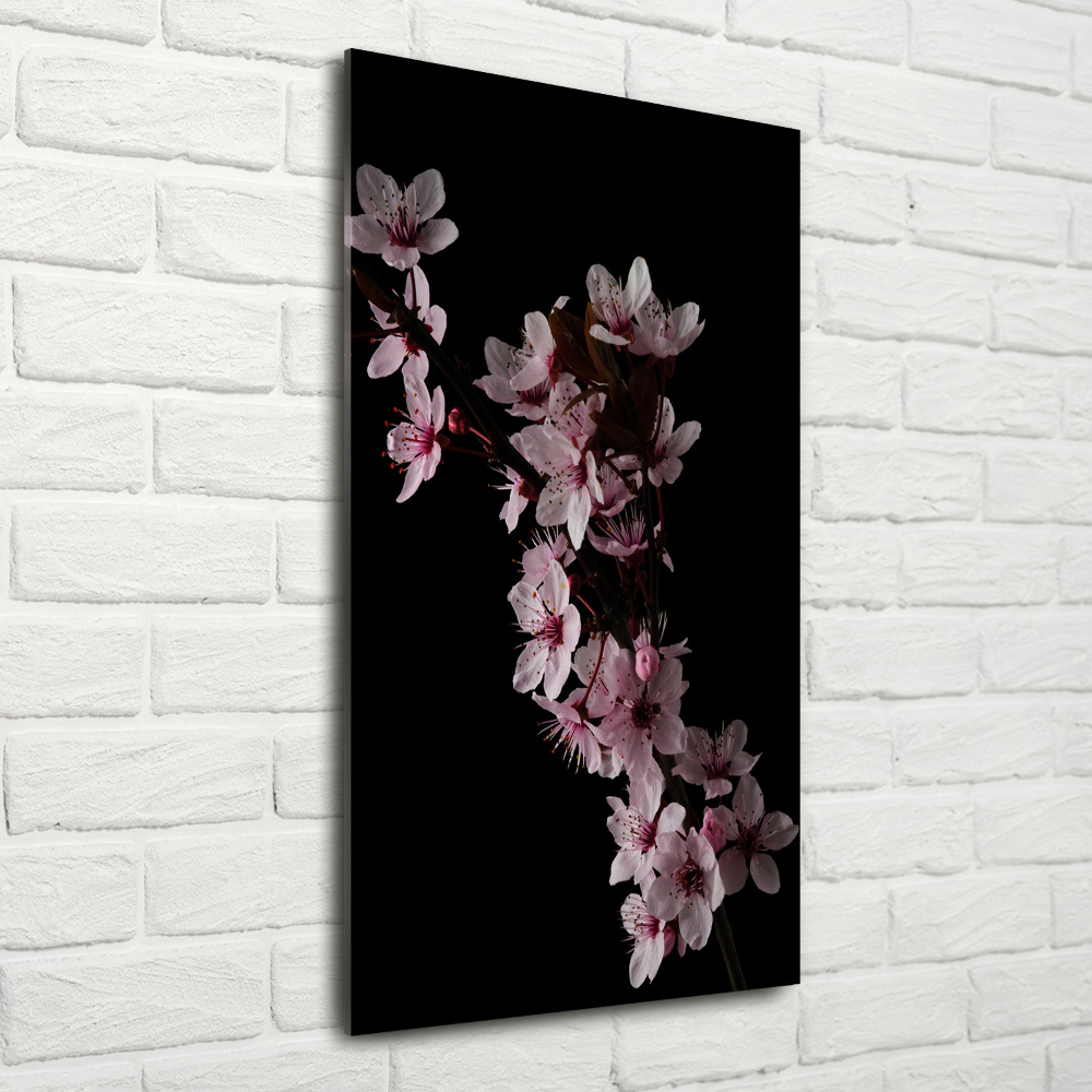 Acrylic wall art Cherry blossoms