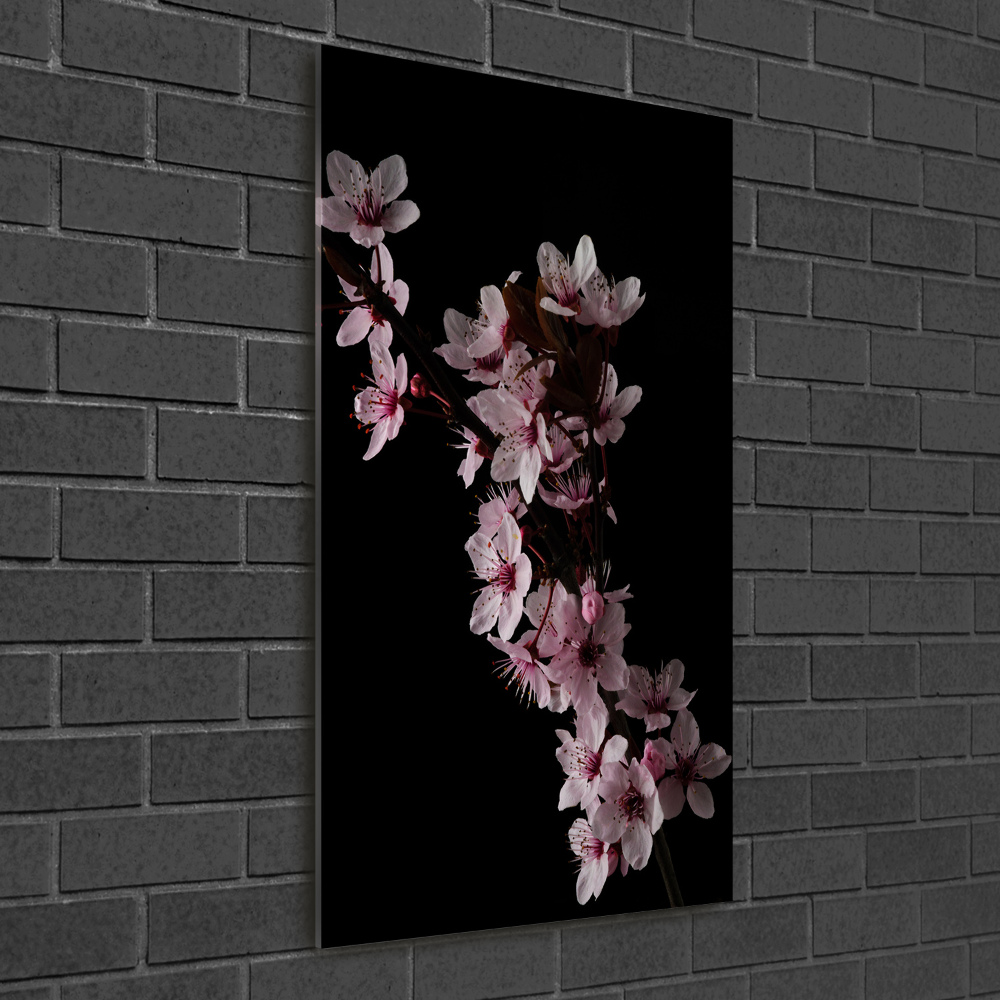 Acrylic wall art Cherry blossoms