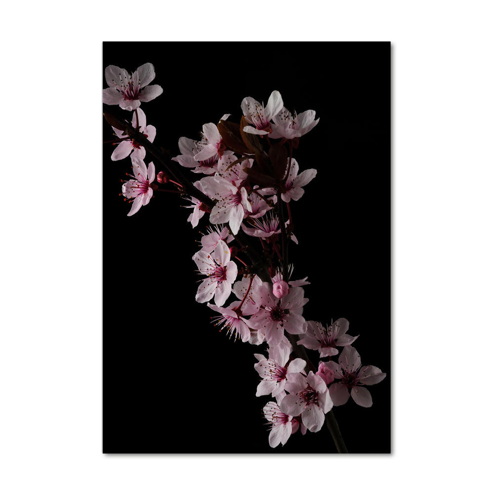 Acrylic wall art Cherry blossoms