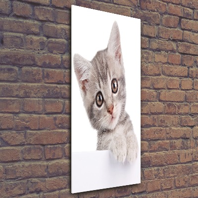 Acrylic wall art Gray cat