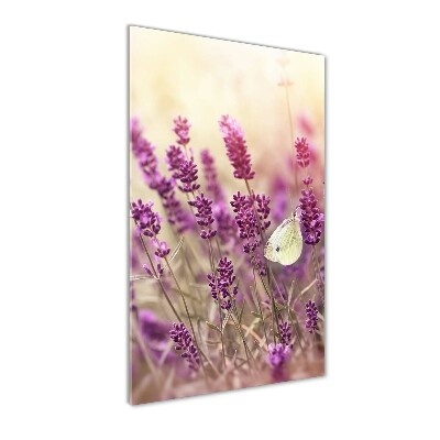 Acrylic wall art Lavender flowers