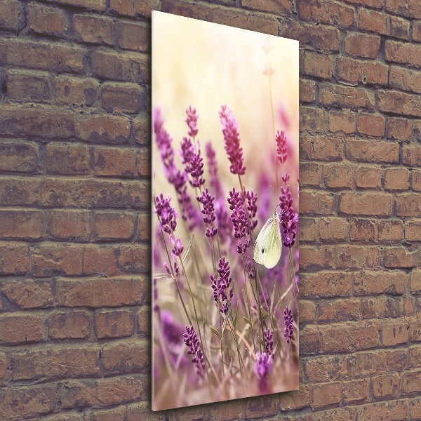 Acrylic wall art Lavender flowers