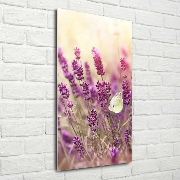 Acrylic wall art Lavender flowers