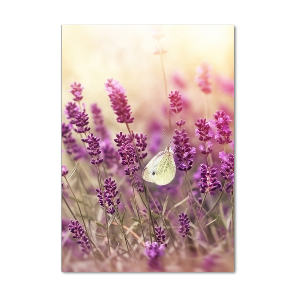 Acrylic wall art Lavender flowers