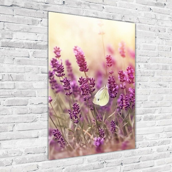 Acrylic wall art Lavender flowers