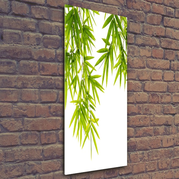 Acrylic wall art Bamboo leaves