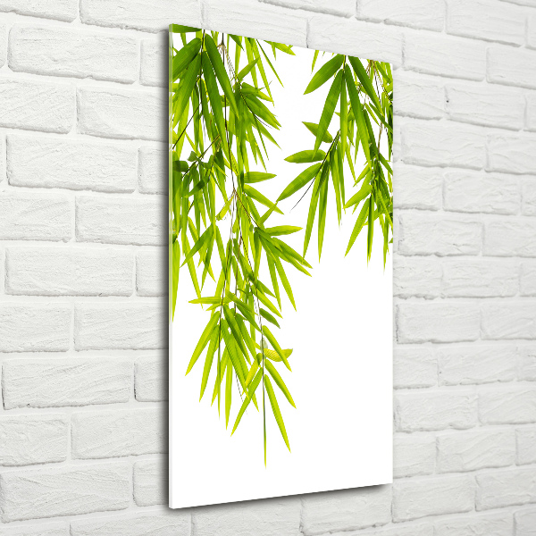 Acrylic wall art Bamboo leaves