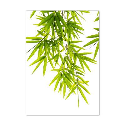 Acrylic wall art Bamboo leaves