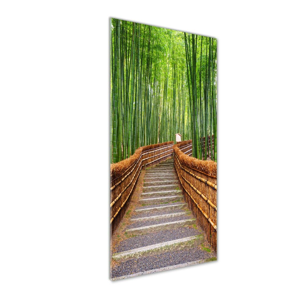 Print on acrylic glass Bamboo forest