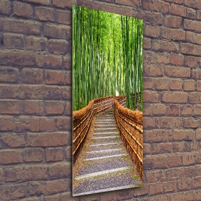 Print on acrylic glass Bamboo forest