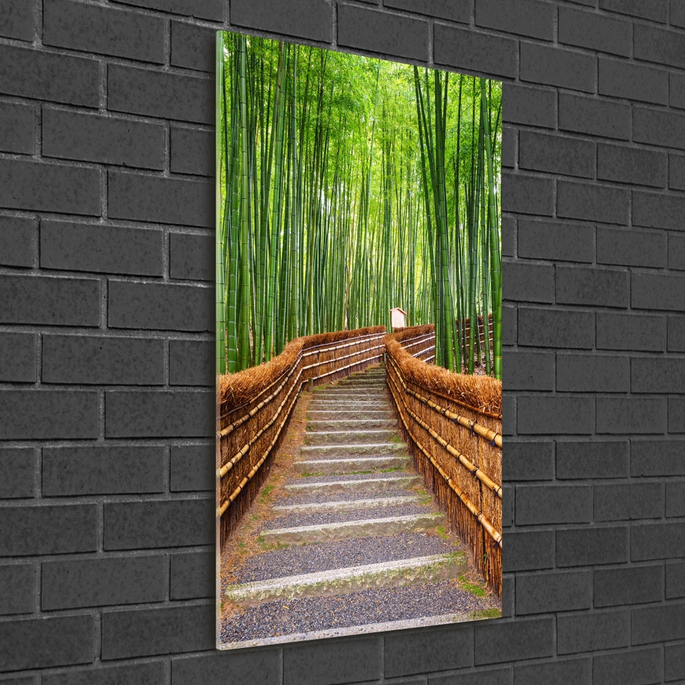 Print on acrylic glass Bamboo forest