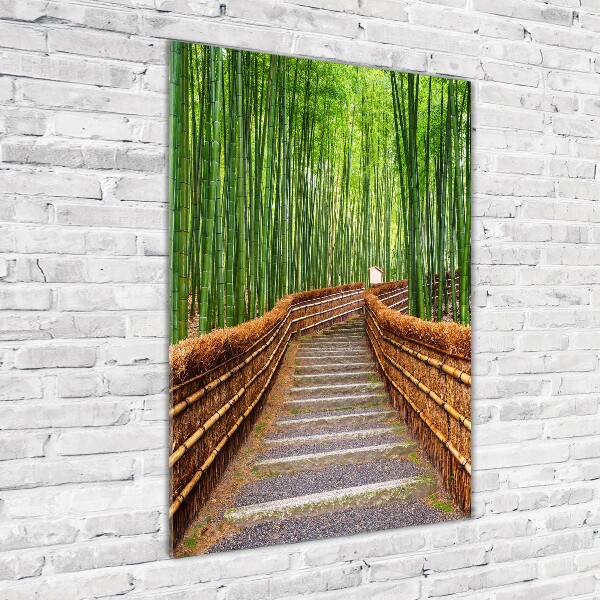 Print on acrylic glass Bamboo forest