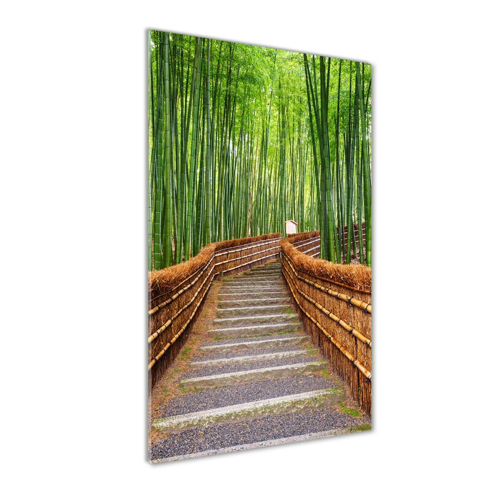 Print on acrylic glass Bamboo forest