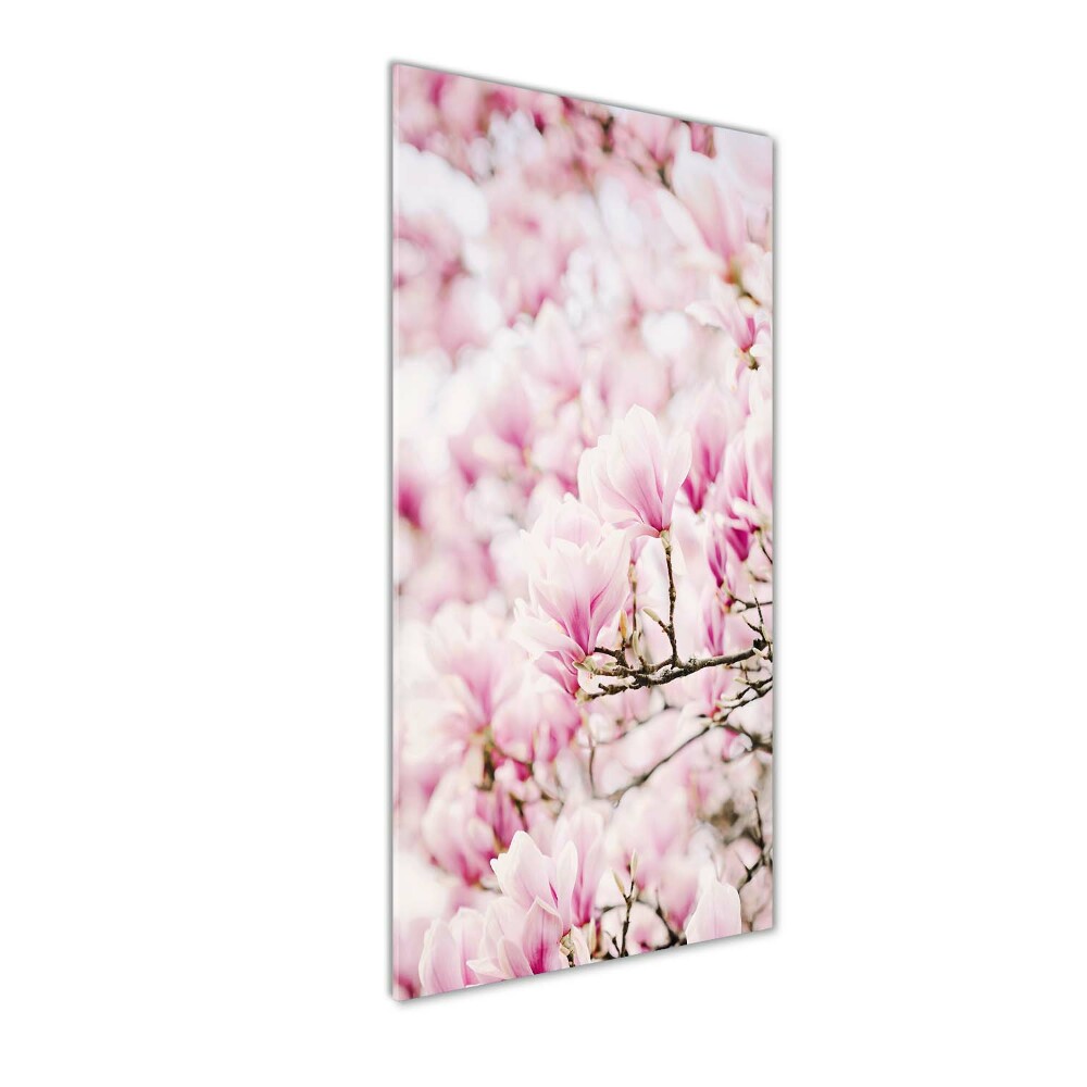 Acrylic print Magnolia flowers