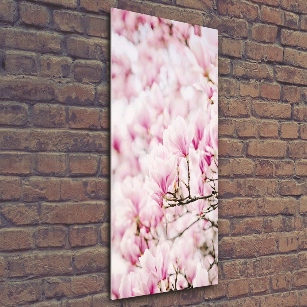 Acrylic print Magnolia flowers