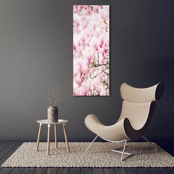 Acrylic print Magnolia flowers