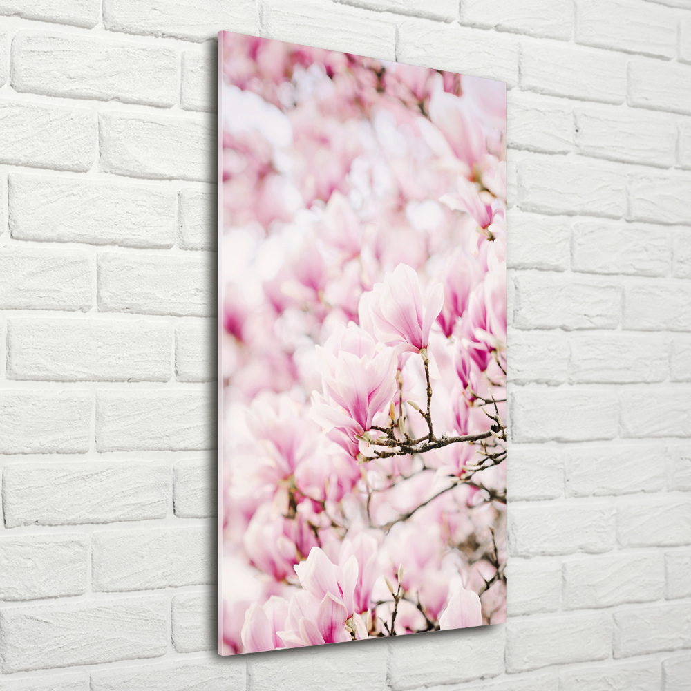 Acrylic print Magnolia flowers