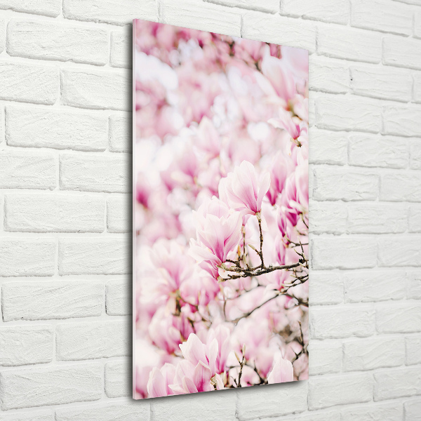 Acrylic print Magnolia flowers