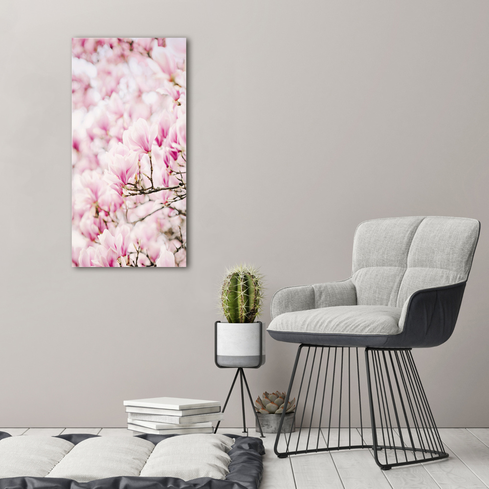 Acrylic print Magnolia flowers