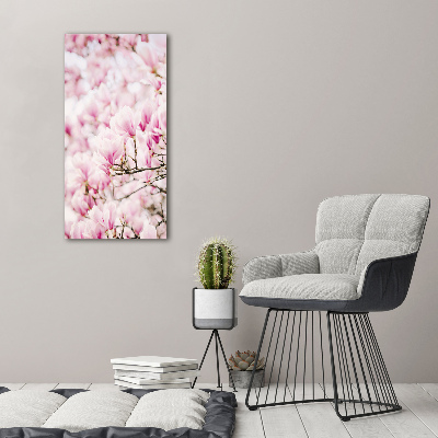 Acrylic print Magnolia flowers