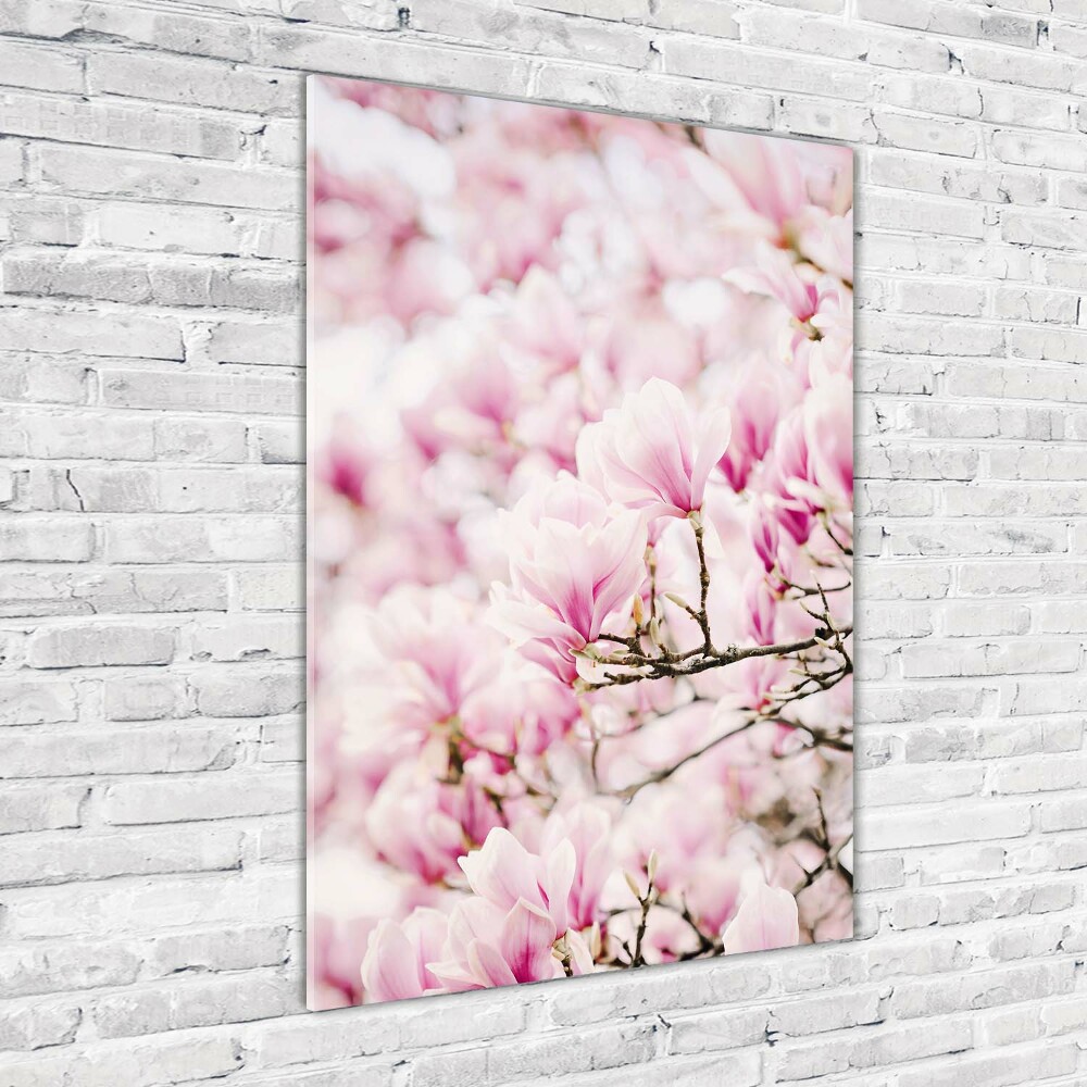 Acrylic print Magnolia flowers