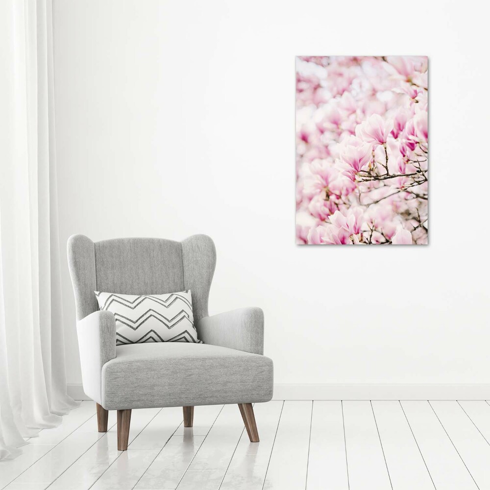 Acrylic print Magnolia flowers