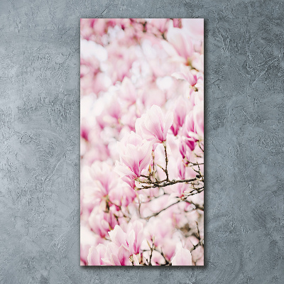 Acrylic print Magnolia flowers