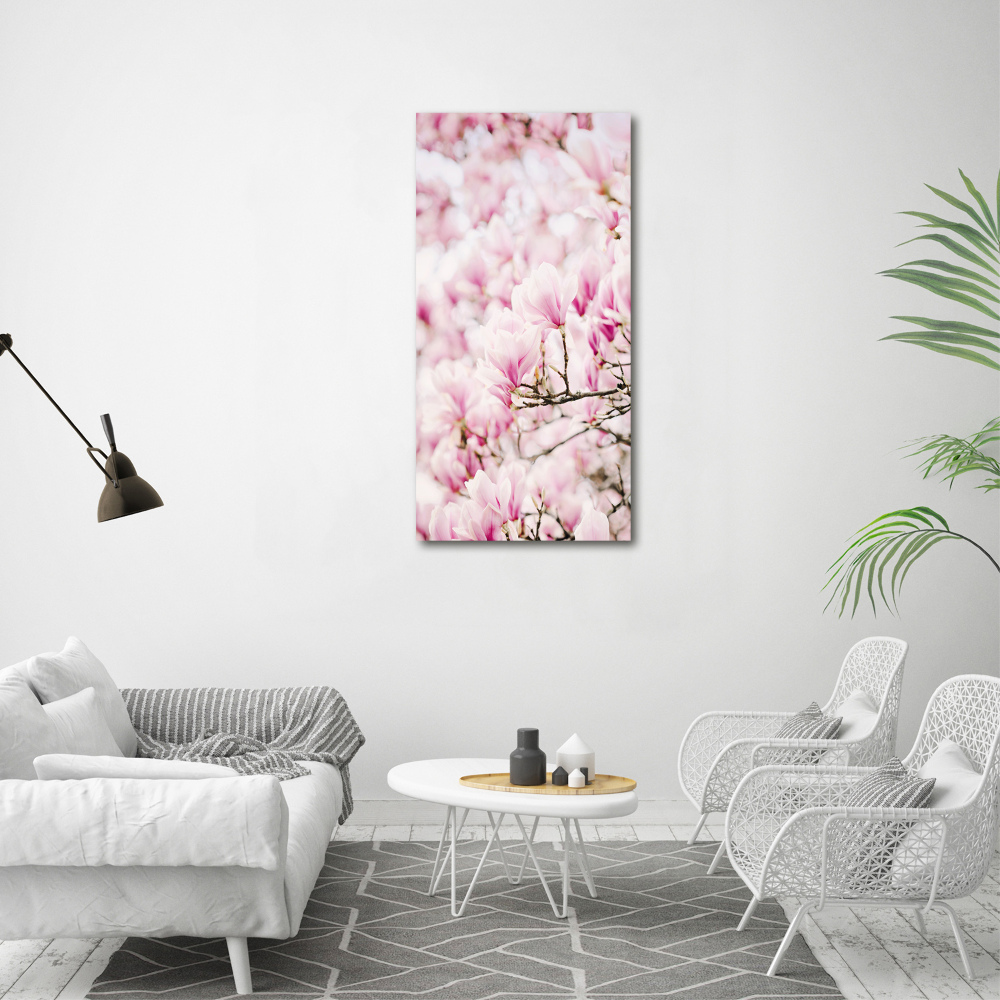 Acrylic print Magnolia flowers