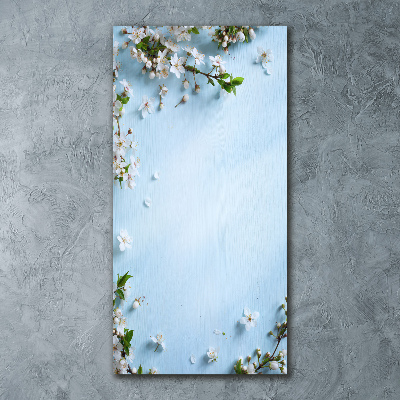 Acrylic print Cherry blossoms