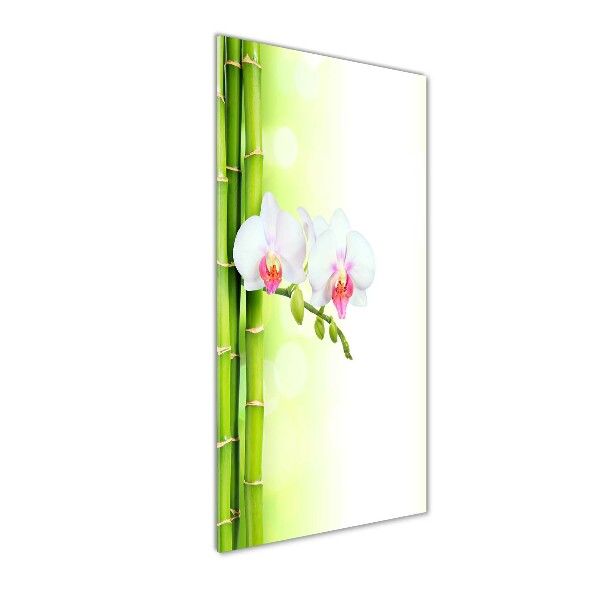 Acrylic print Orchid and bamboo