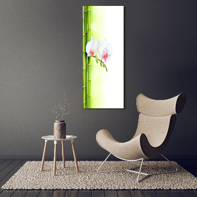 Acrylic print Orchid and bamboo