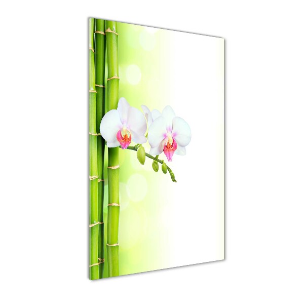 Acrylic print Orchid and bamboo