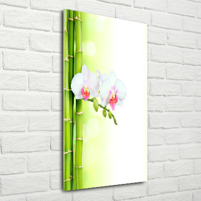 Acrylic print Orchid and bamboo