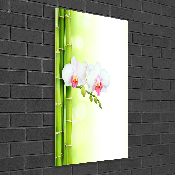 Acrylic print Orchid and bamboo